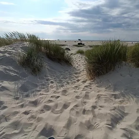 아파트 Dune Magic