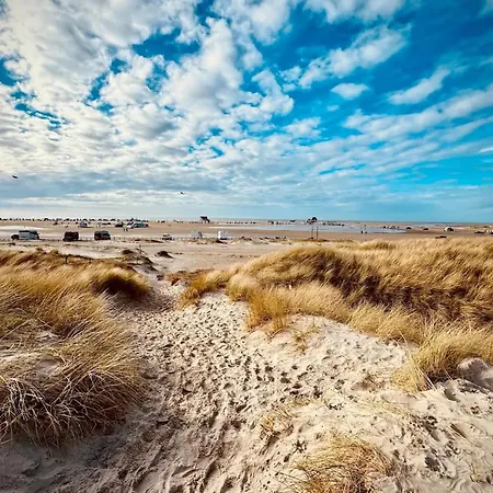 Dune Magic Olsdorf